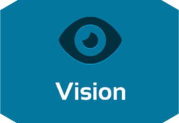 Our Vision